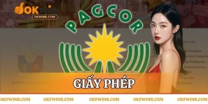 Giấy phép