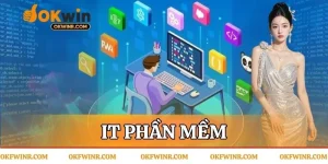 IT Phần Mềm